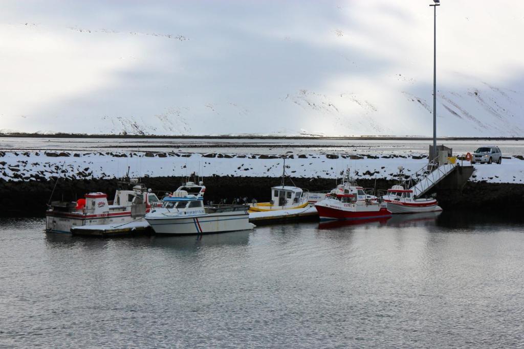 Comfy Guesthouse Westfjords Sudureyri Eksteriør bilde